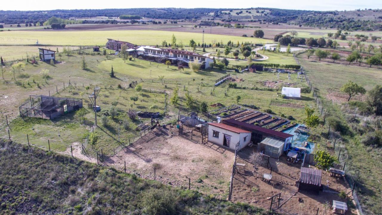 Hotel Rural Bioclimático Sabinares del Arlanza Puentedura Exterior foto